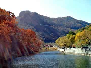 新澳天天开奖资料大全旅游团，都市魔帝